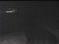 �J�����摜