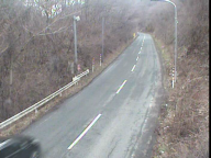 �J�����摜