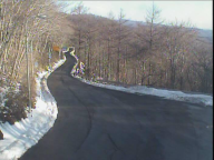 �J�����摜