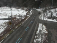 �J�����摜