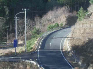 �J�����摜