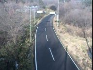 �J�����摜