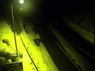 �J�����摜