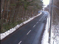 �J�����摜