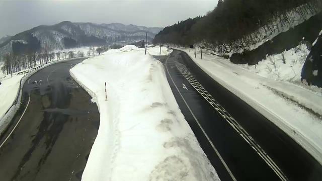 ��΃g���l���i���a�ꑤ�j-�����P�O�V��